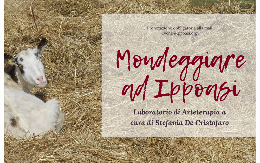 DOMENICA 30 MAGGIO: MONDEGGIARE AD IPPOASI