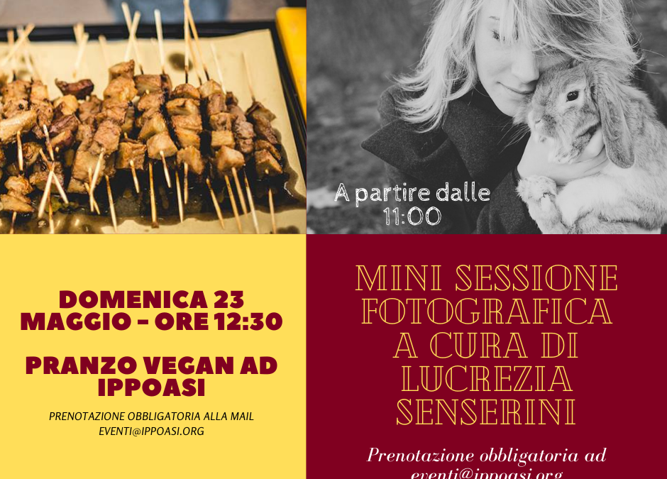 Domenica 23 maggio: pranzo vegan e ritratti fotografici benefit ad Ippoasi