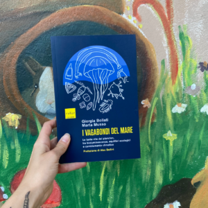 I vagabondi del mare