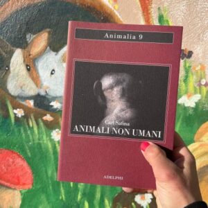 Animali non umani