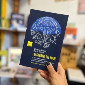 I vagabondi del mare