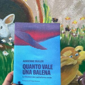 Quanto vale una balena