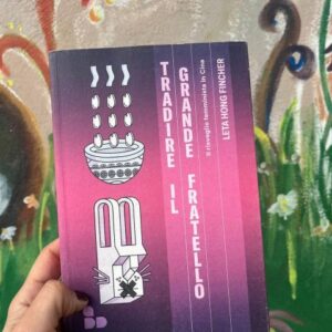 Tradire il Grande Fratello