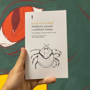 Ambienti animali e ambienti umani