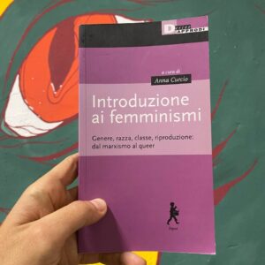 Introduzione ai femminismi
