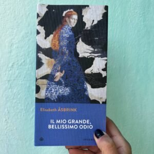 Il mio grande bellissimo odio