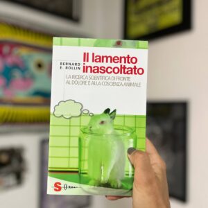 Il lamento inascoltato