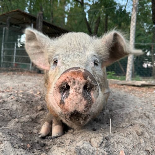 photo_2026-07-09_21-04-37